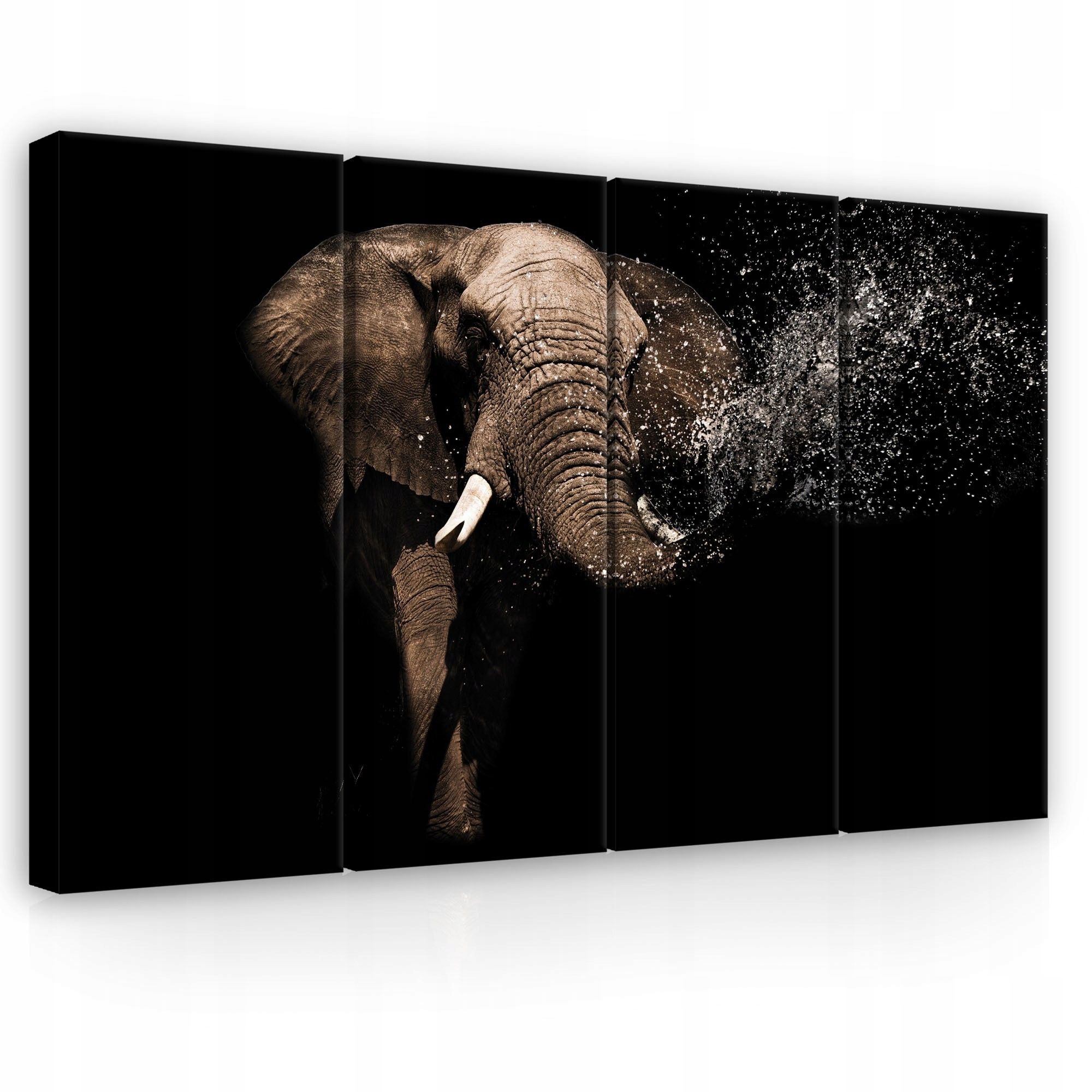 Obraz 120x80 Slon striekajúca voda dynamika sila divoká príroda energia pohyb