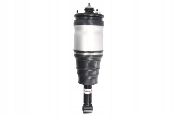 ПОВІТРЯНИЙ АМОРТИЗАТОР APL015MT