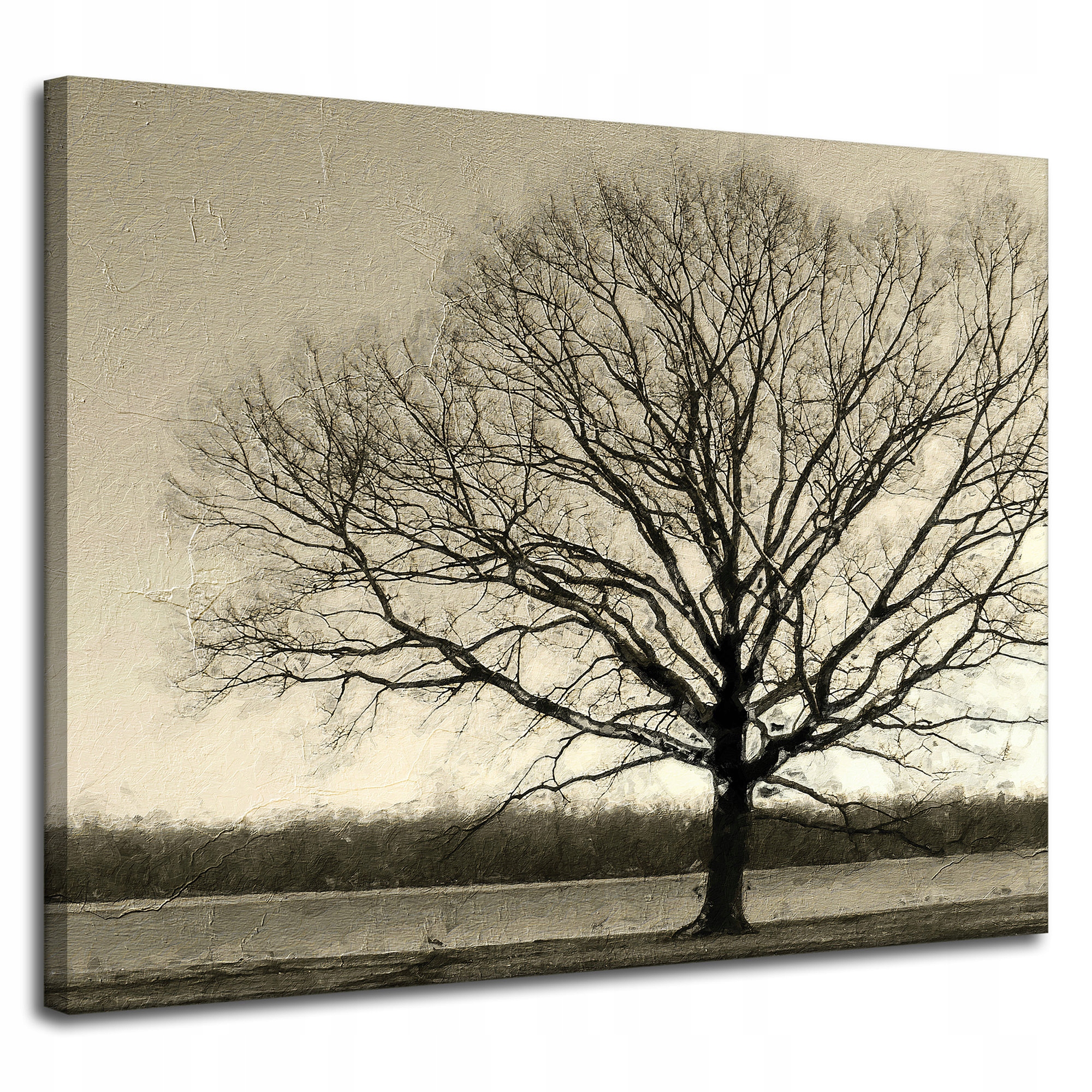 Obraz na plátně Ponuré Černé Dřevo Smutek 100x80 cm Ideální jako dárek
