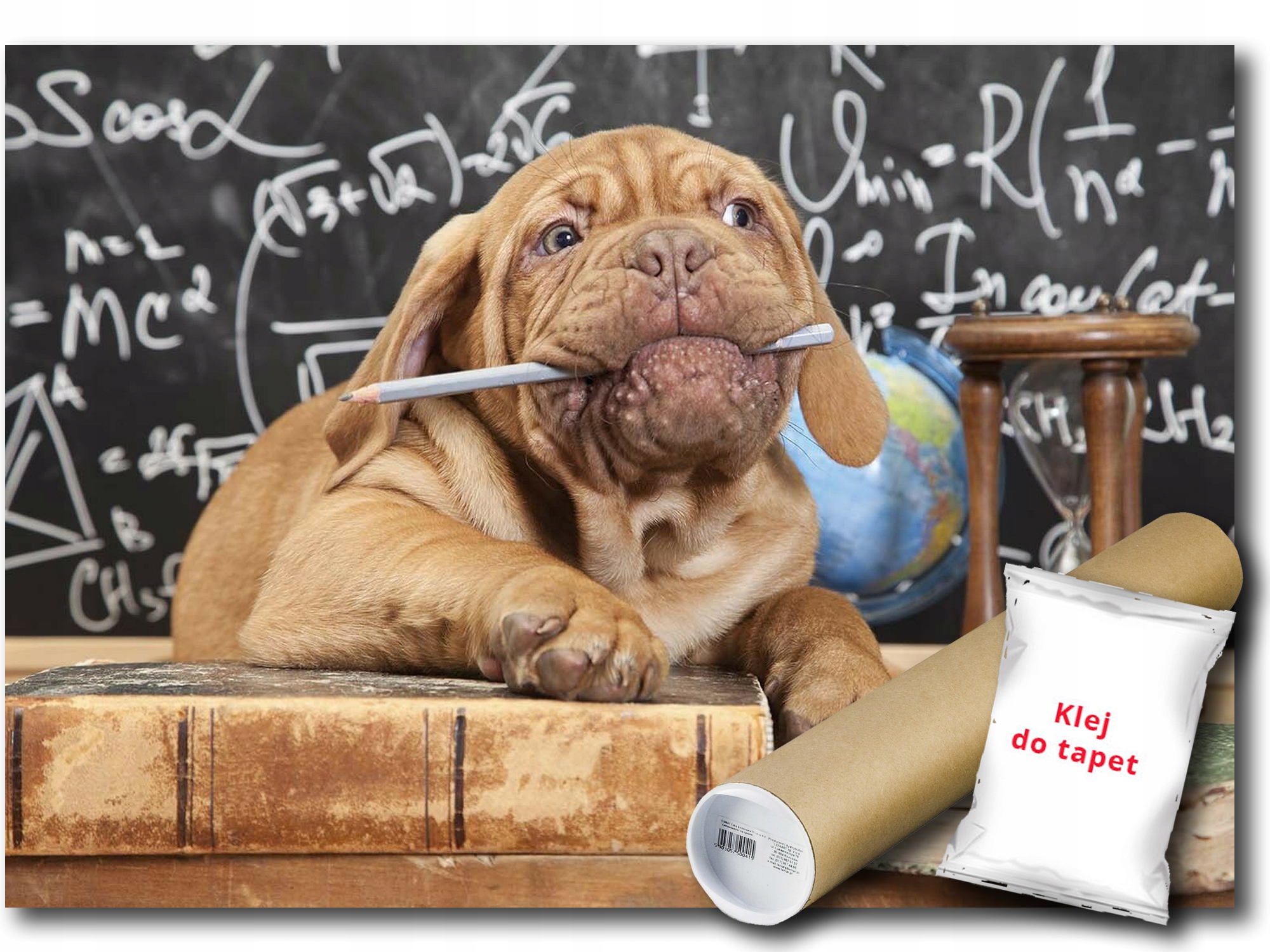 Vinylová Fototapeta Pes Škola Profesor 368x254