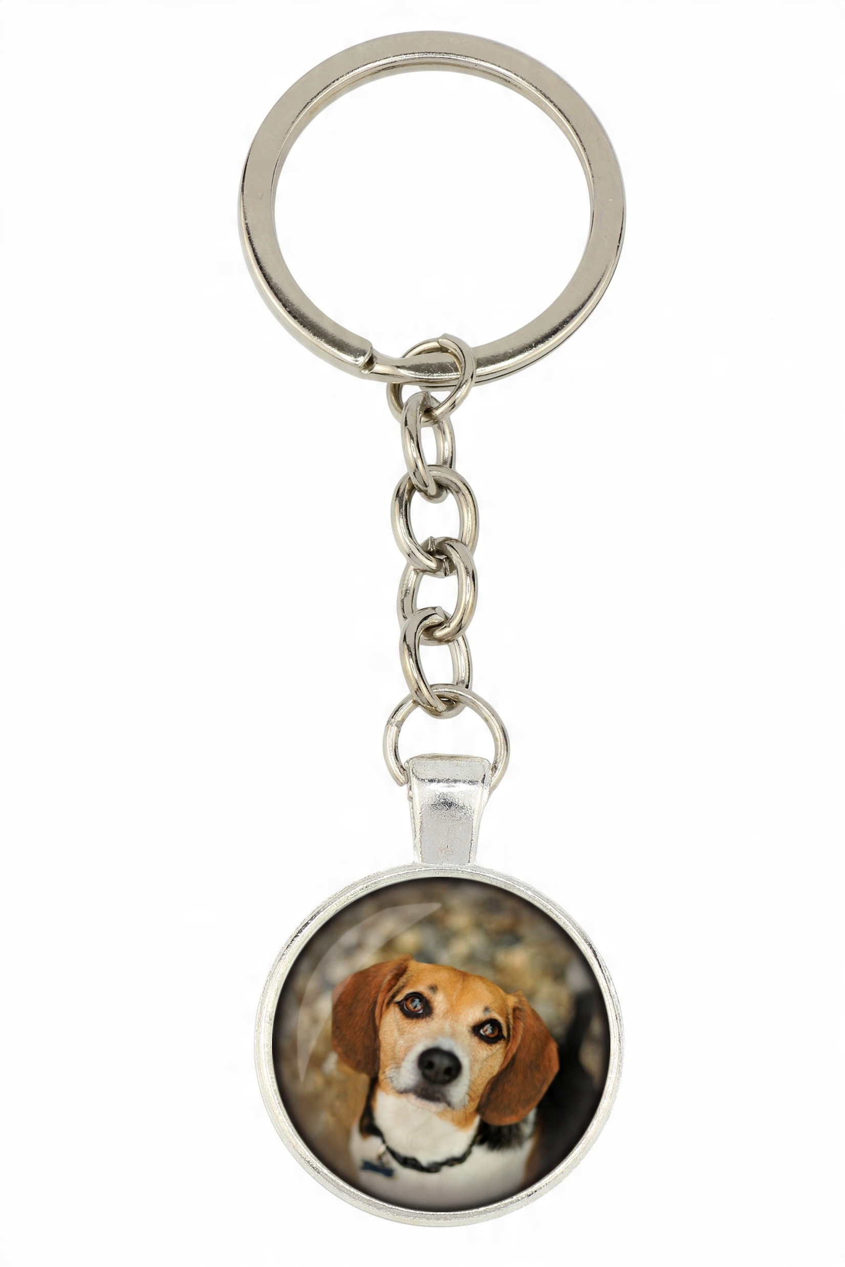 

Beagle Brelok Twoje zdjęcie foto Handmade