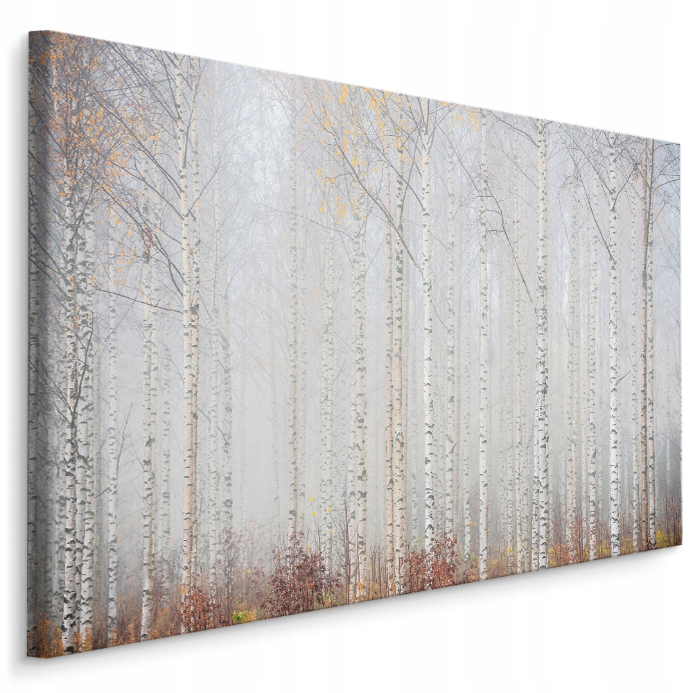

Obraz brzozowy las we mgle 90x60 /275811826