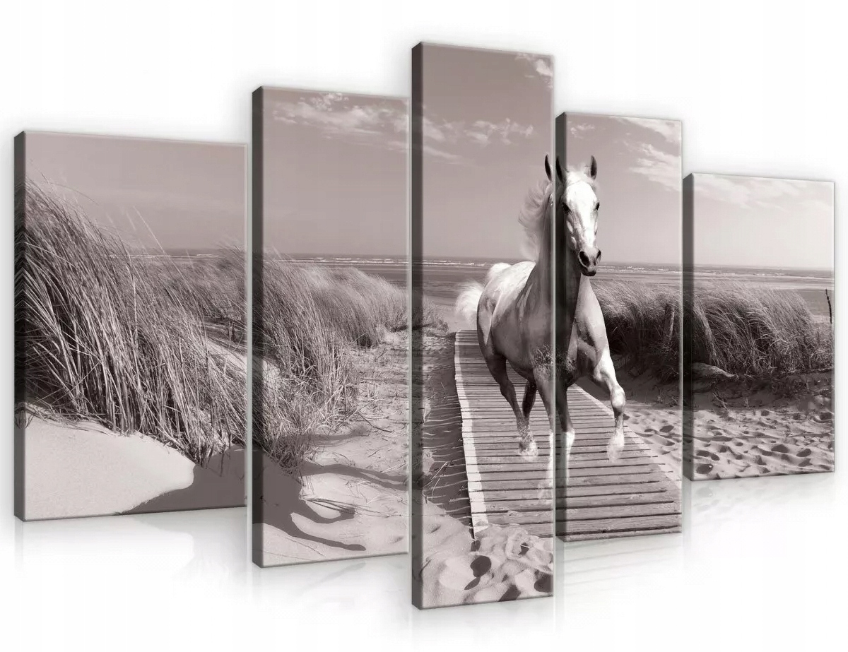 Obraz Na Plátně Canvas 170x100 Pláž Moře Kůň
