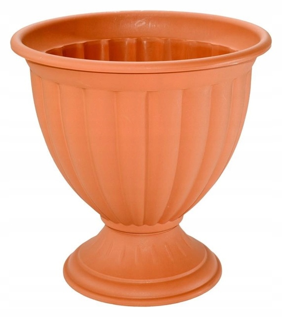 

Gazon Tulipan fi 31 cm Szemikowie