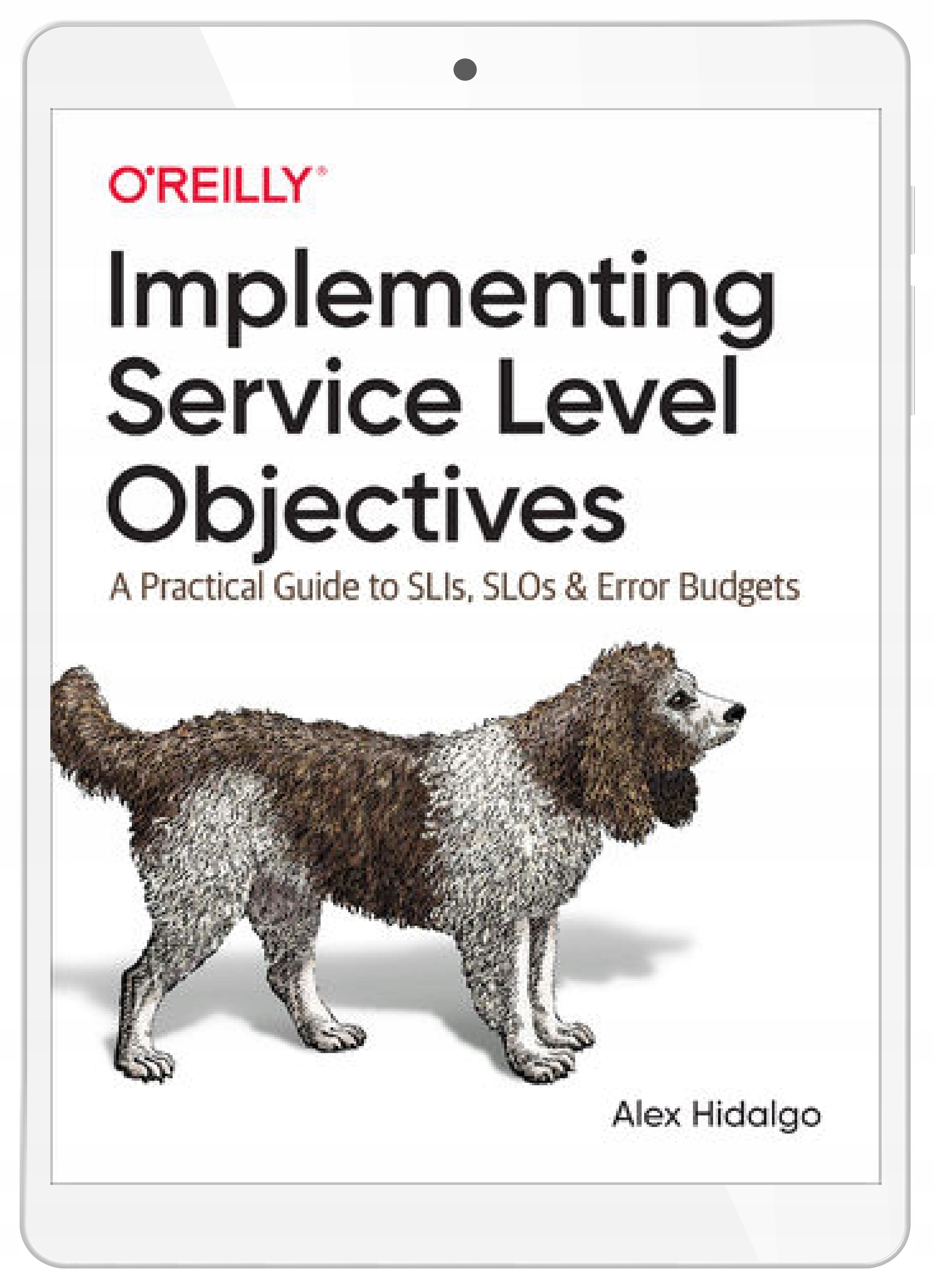 Implementing Service Level Objectives