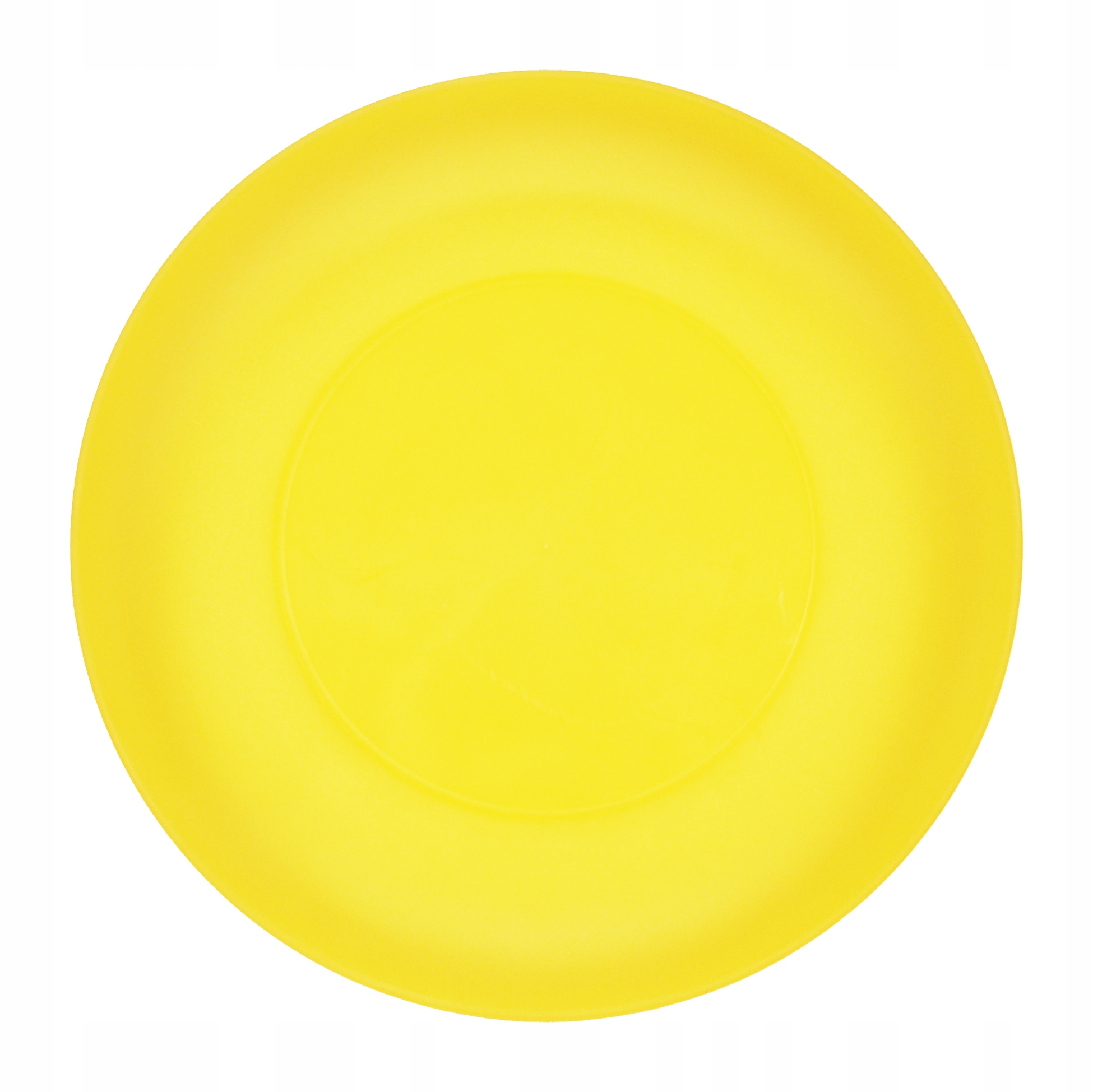 

Talerz piknikowy plastikowy 22 cm żółty
