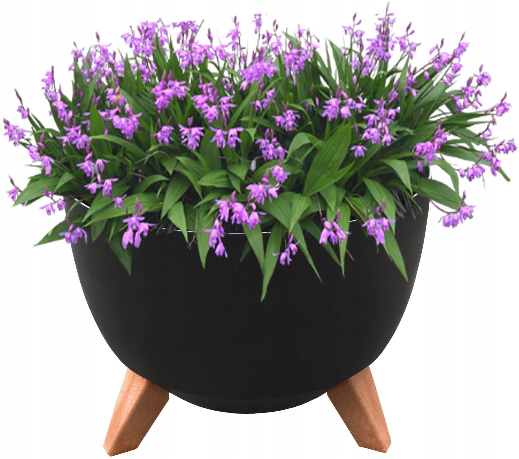 

Doniczka Misa Roma 29 h23 Czarna Donica na nóżkach