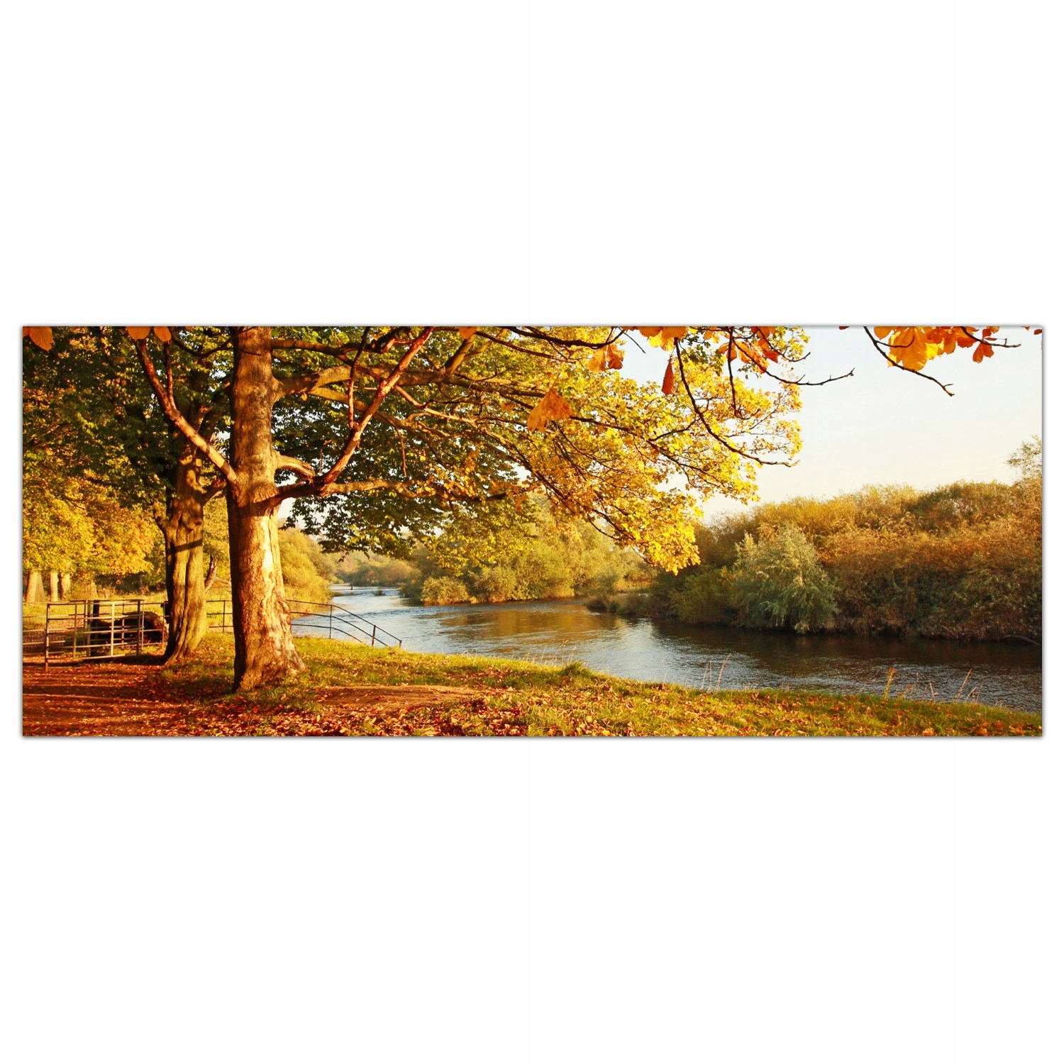 

Obraz na szkle Foto Jesień Park Krajobraz 125x50