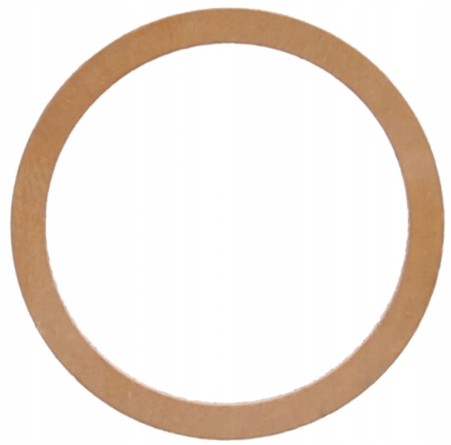 Těsnění výfukového potrubí Triumph Sprint 955 Nové