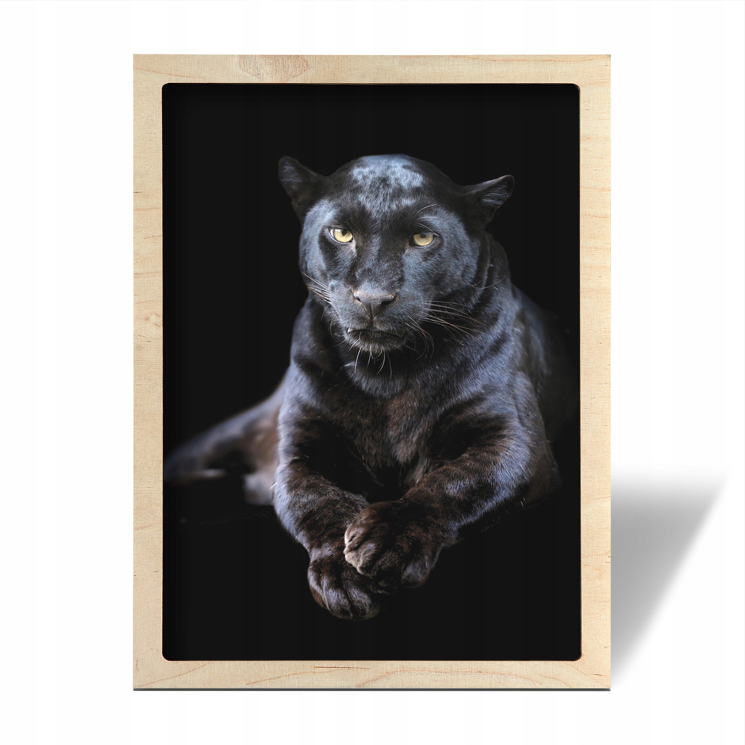 

Obraz w ramie na ścianę Czarna puma kot 50x70 cm