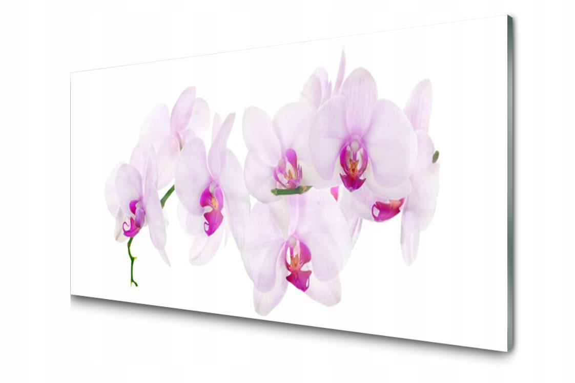 

Panel szklany dekor Kwiaty Roślina 140x70 + Klej