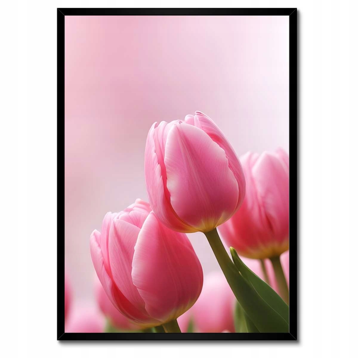 Plakáty v rámu 50x70 Růžové tulipány