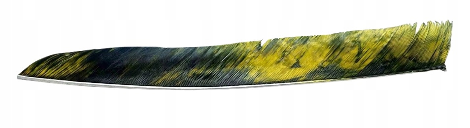 Lotki indycze z całego pióra Gateway Camo