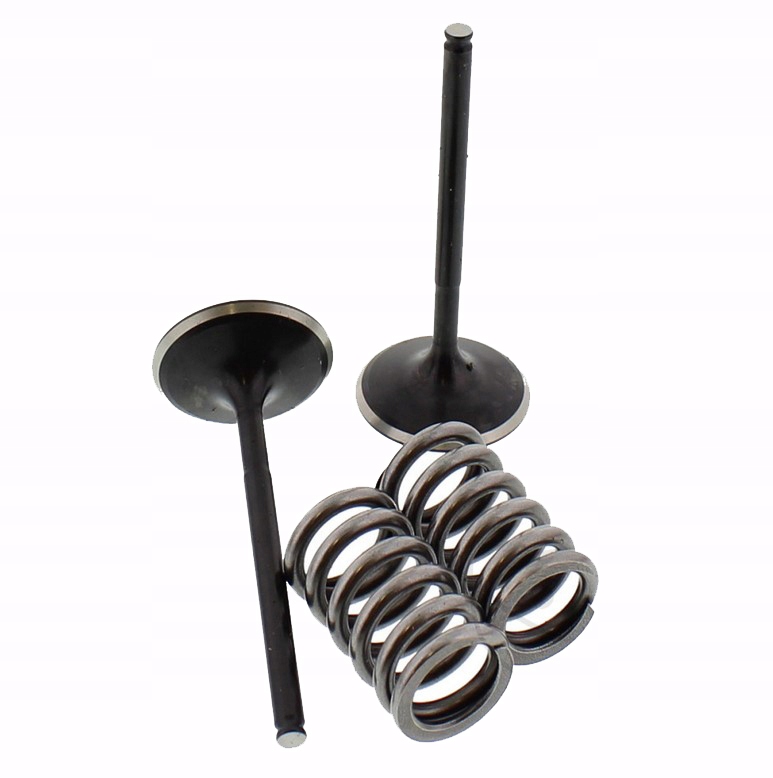 7470620 - КЛАПАН ПРУЖИННЫЕ ВСАСЫВАЮЩИЕ КЛАПАНЫ HONDA CRF 450 PE06A