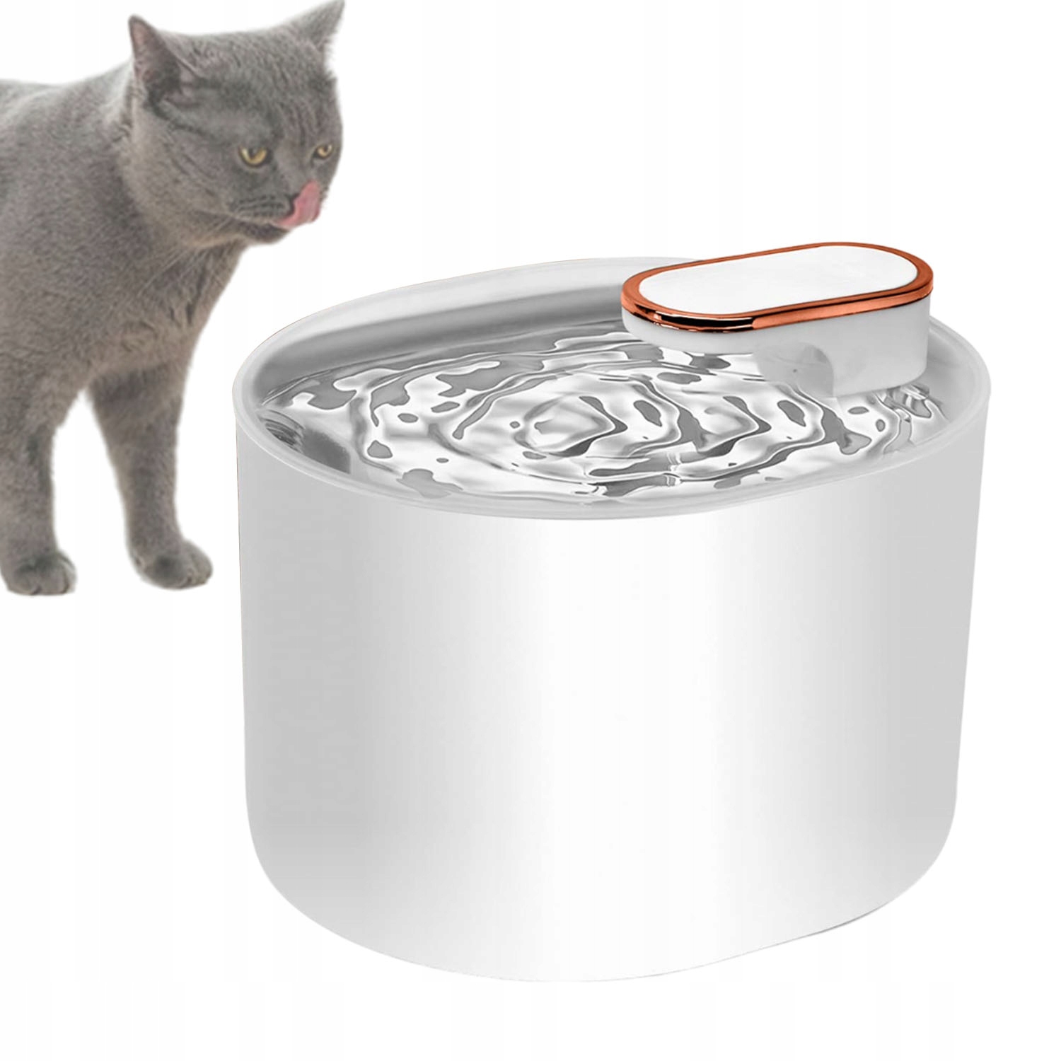 Levně Fontána Napáječka S Filtry Pro Kočky Psa Miska Tiché Krmítko 3L