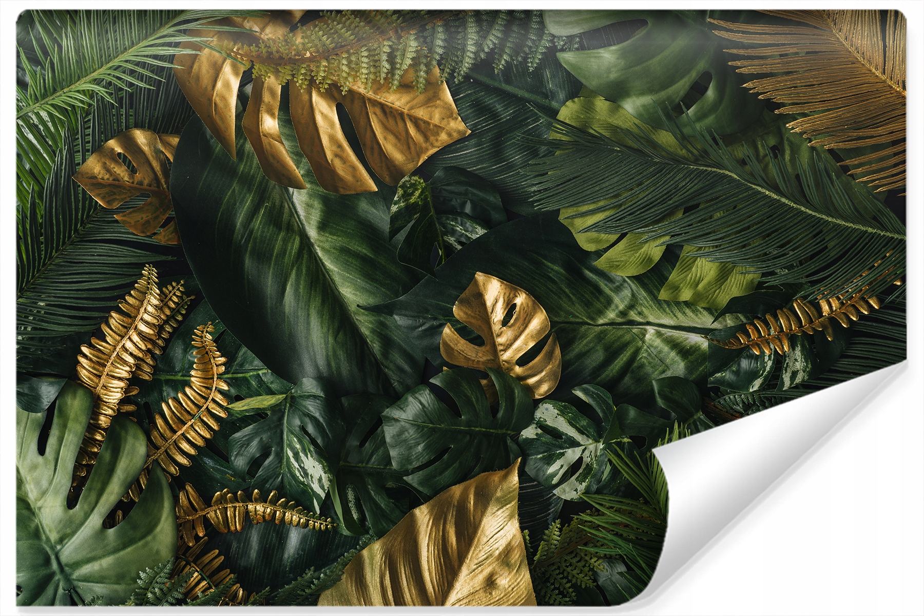 

Fototapeta Liście Tropikalne Rośliny 3D 180x120