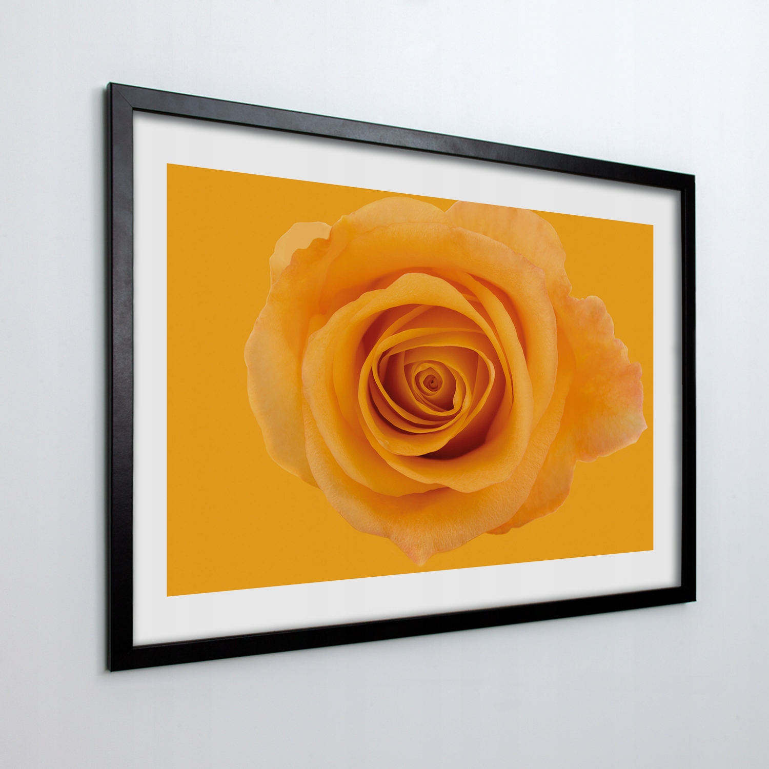 Obraz v ráme na stenu Žltá ruža kvet 100x70 cm