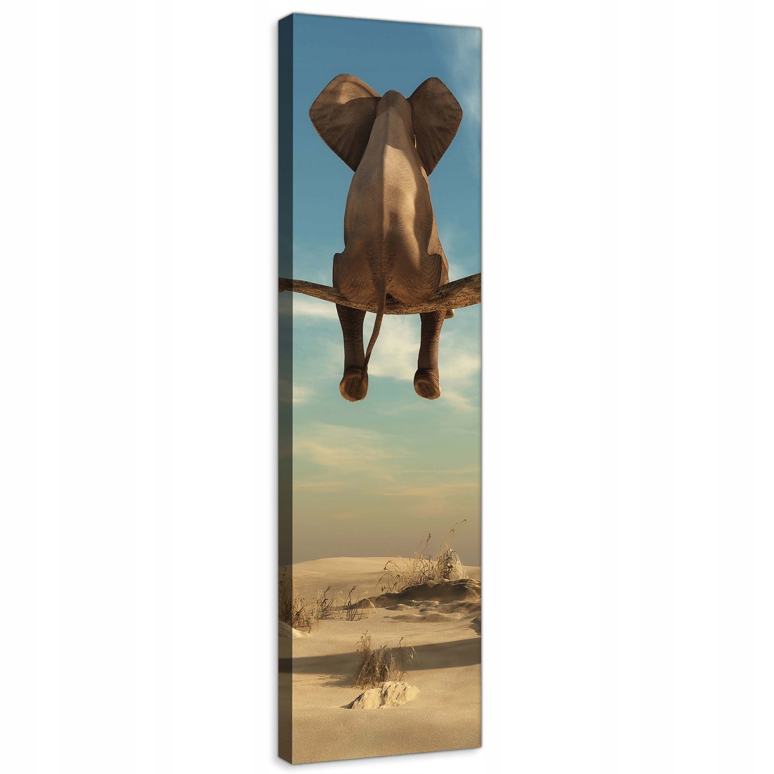 Obraz 45x145 Slon na stromě surrealismus poušť osamělost fantazie sen