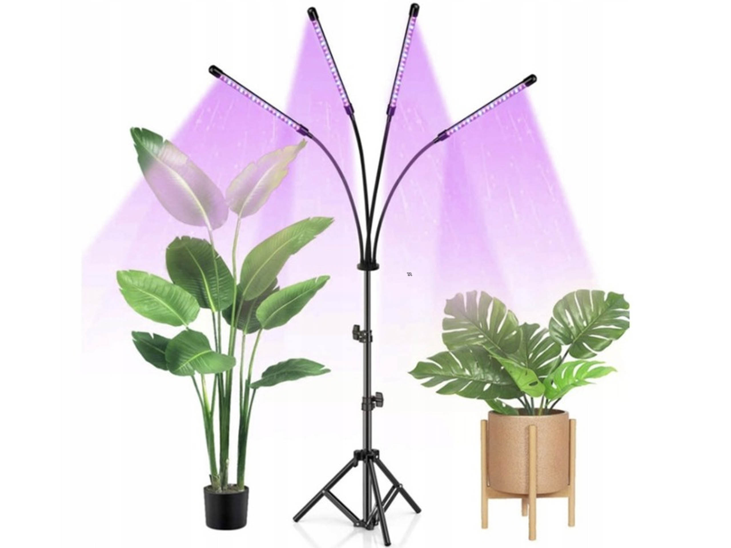 

4 X Lampa Do Wzrostu Roślin 80 Led Timer Pilot