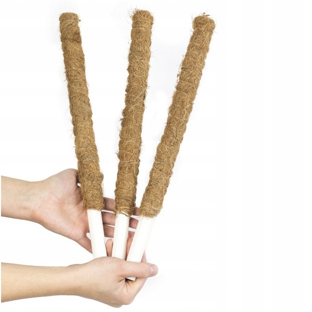 

Palik kokosowy 50/15 cm podpora do roślin 3 szt.