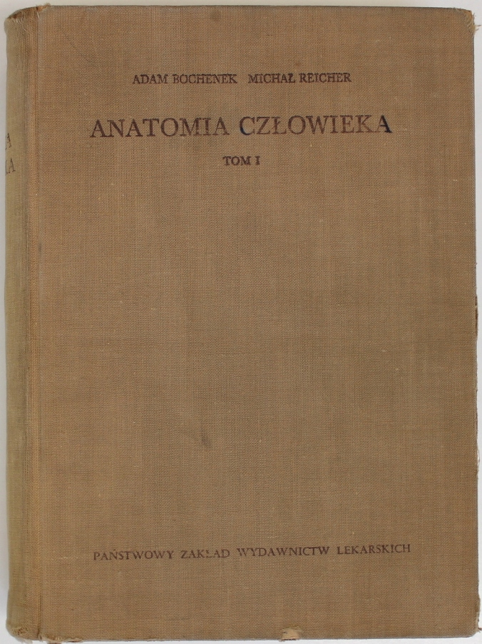 ANATOMIA CZŁOWIEKA TOM I 1 ANATOMIA OGÓLNA KOŚCI STAWY I WIĘZADŁA Bochenek