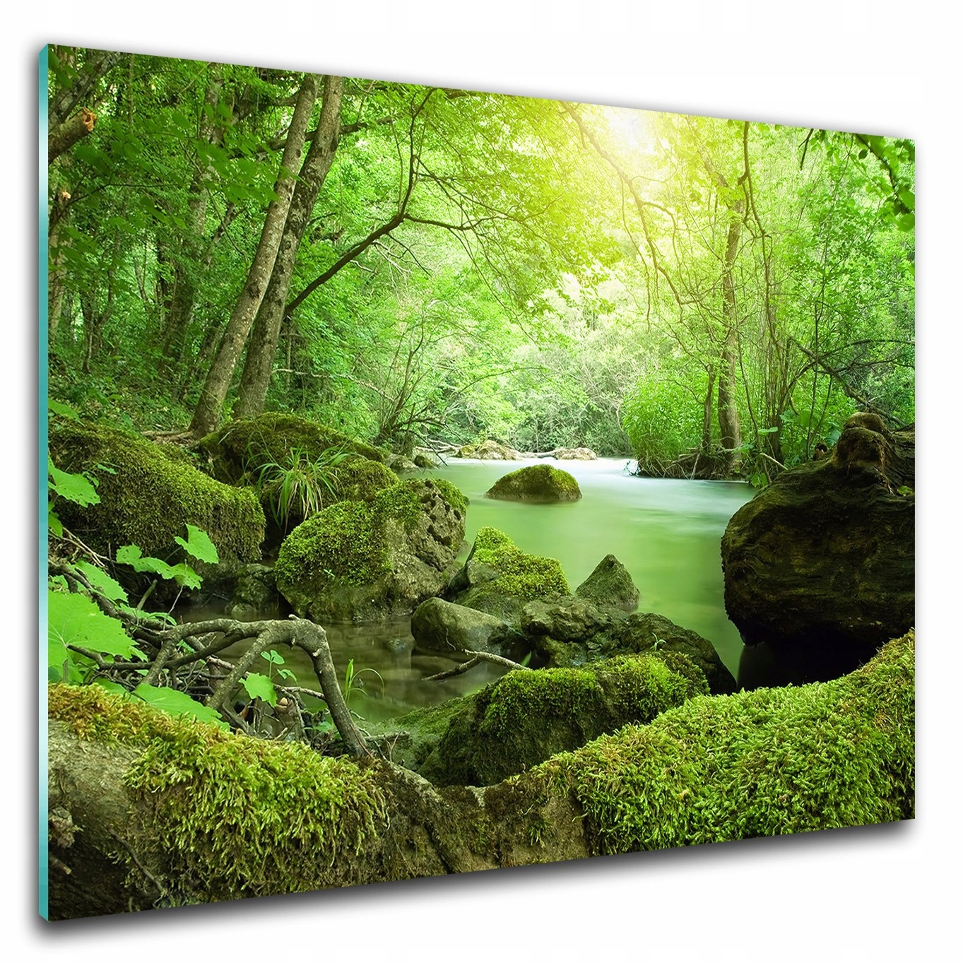 

Foto obraz na szkle ścienny Las Rzeka 80x60