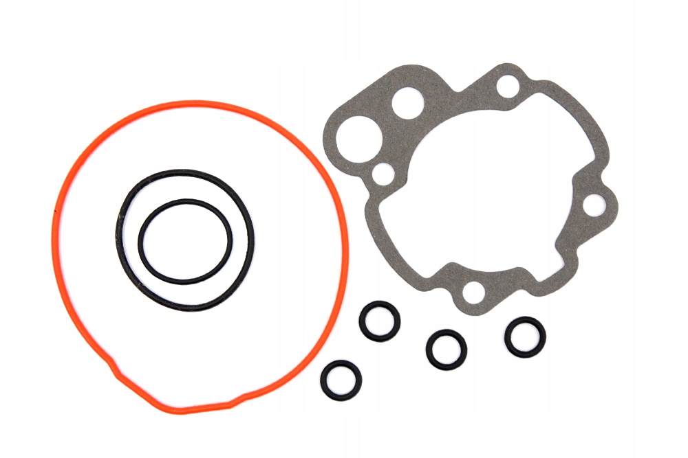 USZCZELKI CYLINDRA KPL MINARELLI AM6 SKUTER 2T MOT