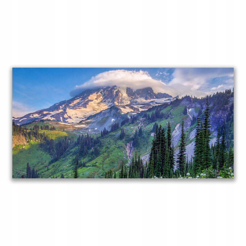 

Obraz akrylowy 140x70 Góra Las Krajobraz Przyroda