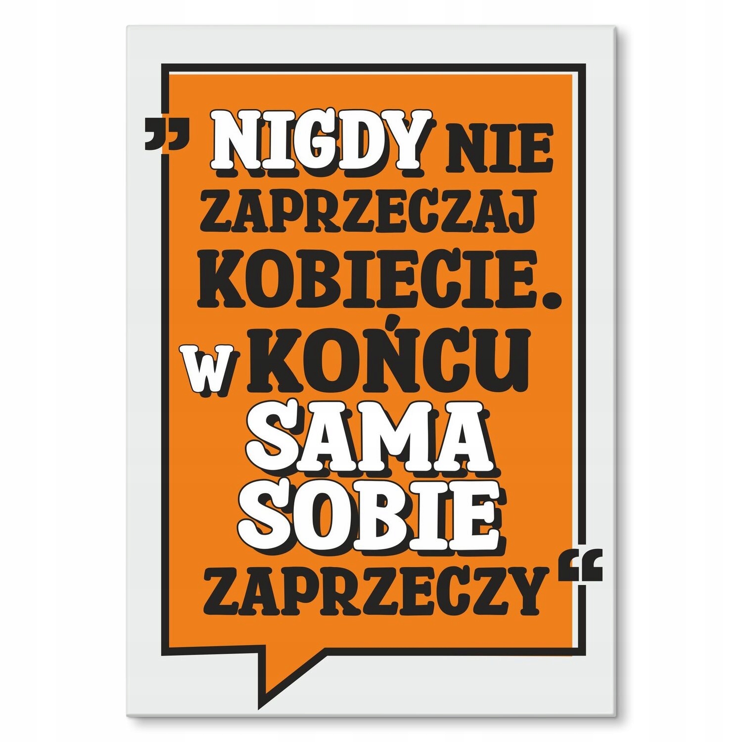 Kovový plakát nikdy ne Šidítko Plech 30 x 42 cm Dárek