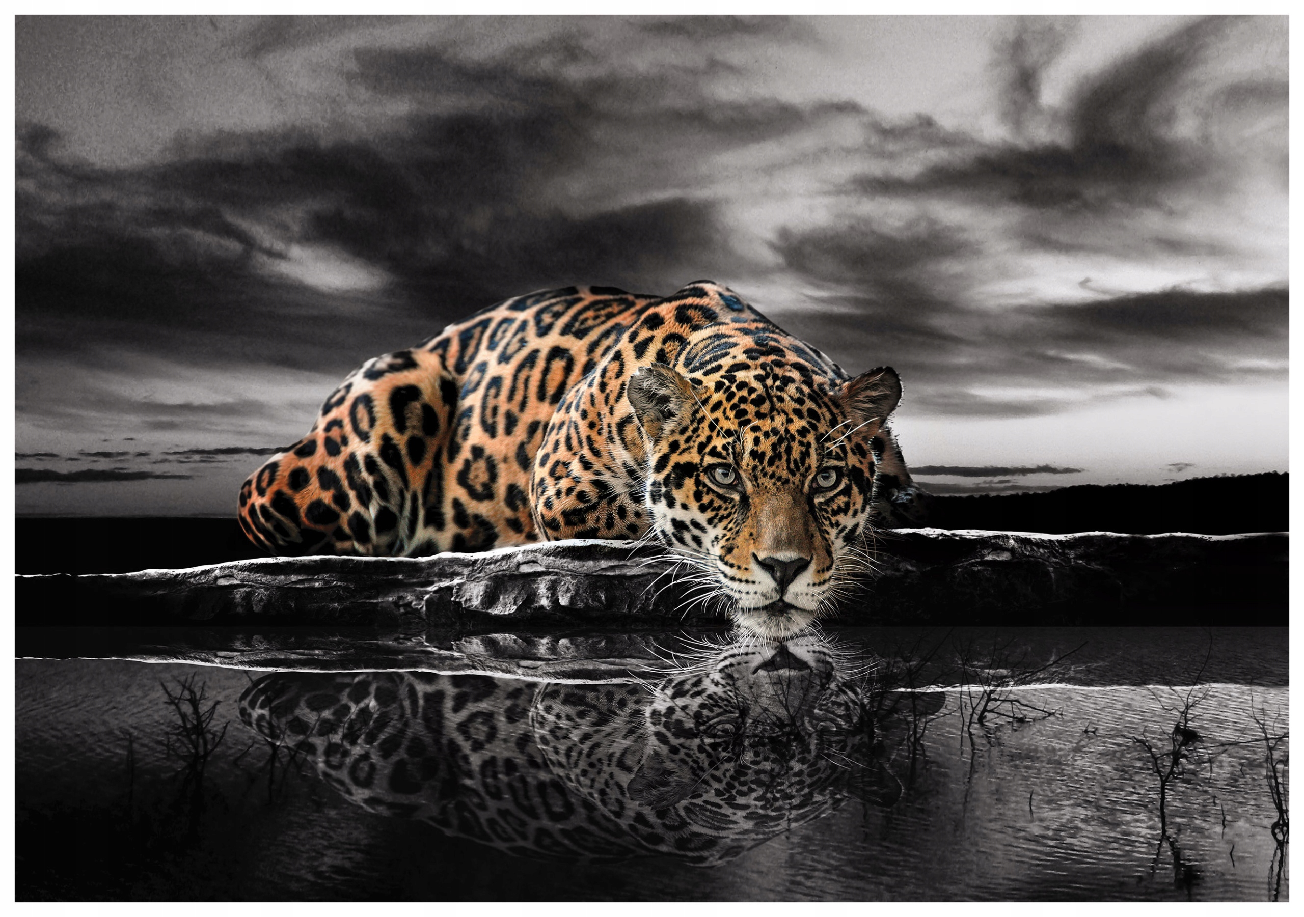 Vliesová fototapeta Jaguar Voda nebe a dynamika přírody 400x280 lepidlo