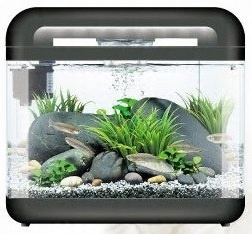 

Invital EasyTank Cascade Led 7 litrów czarny