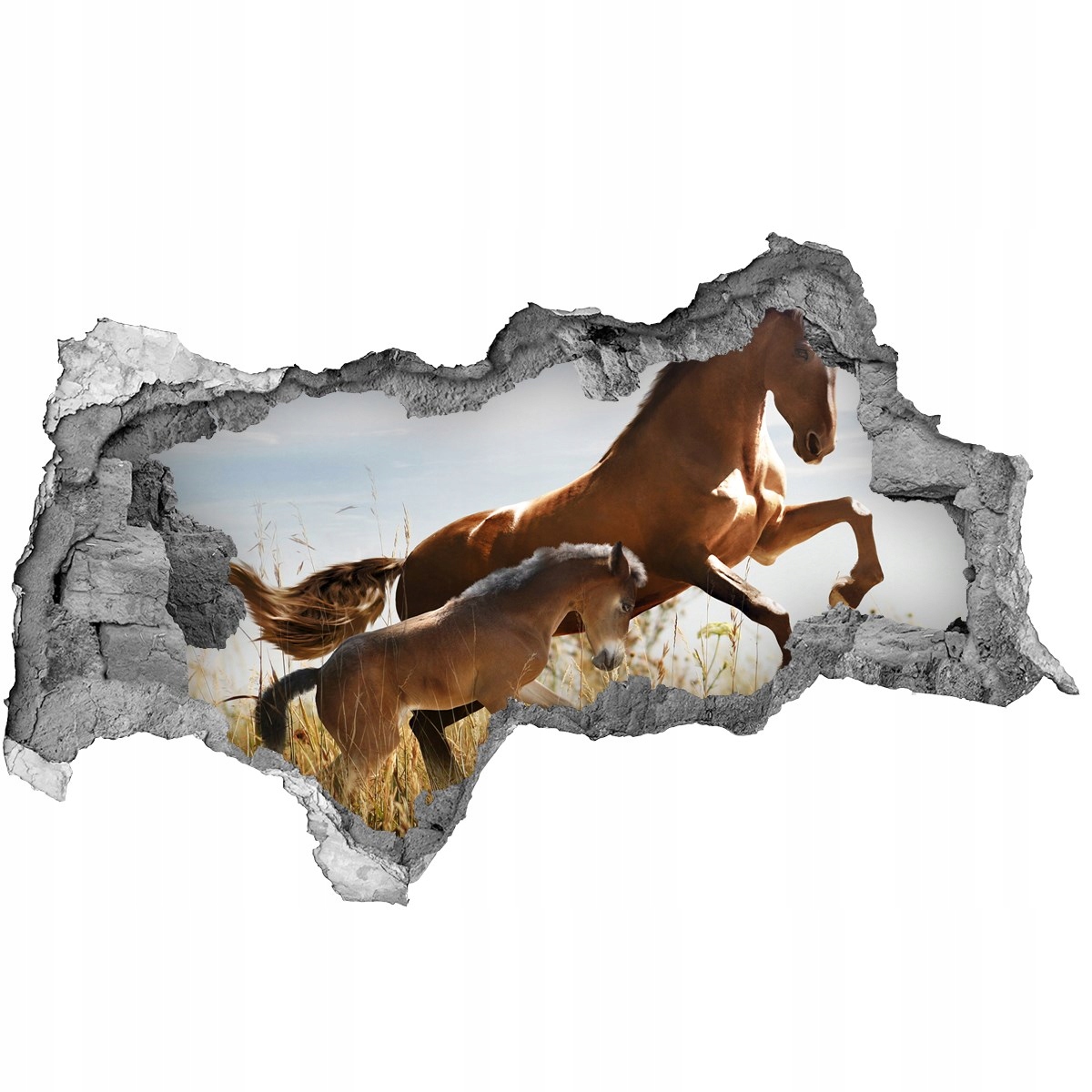 

Dziura 3d fototapeta Klacz ze źrebięciem 115x88