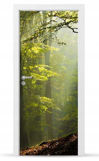Okleina nálepka na vnější dveře Nábytková samolepicí Snadné Lepení