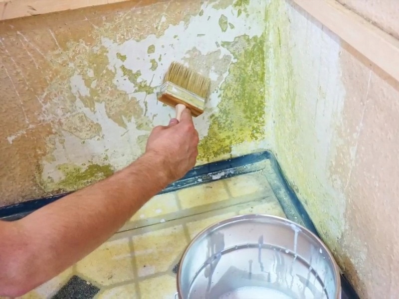 Środek grzybobójczy - grunt do ścian Galvi Ag Pojemność 1 l