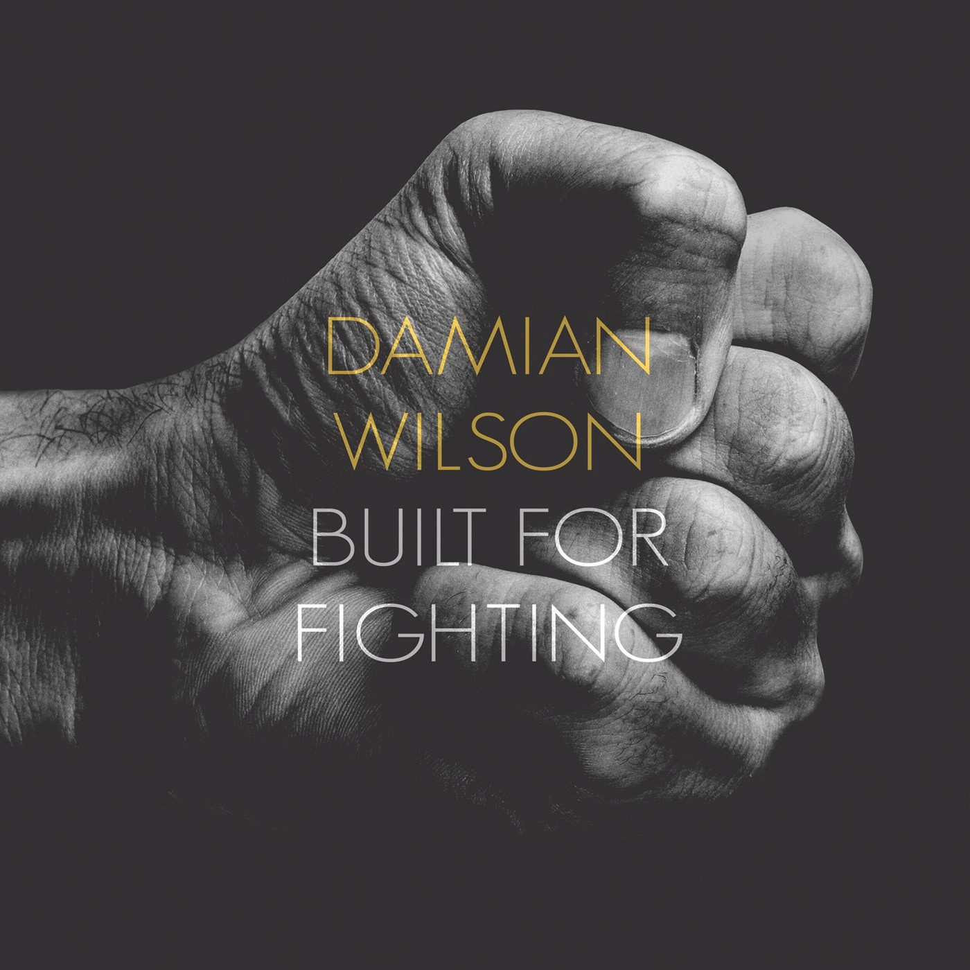 Damian Wilson Built For Fighting (CD)