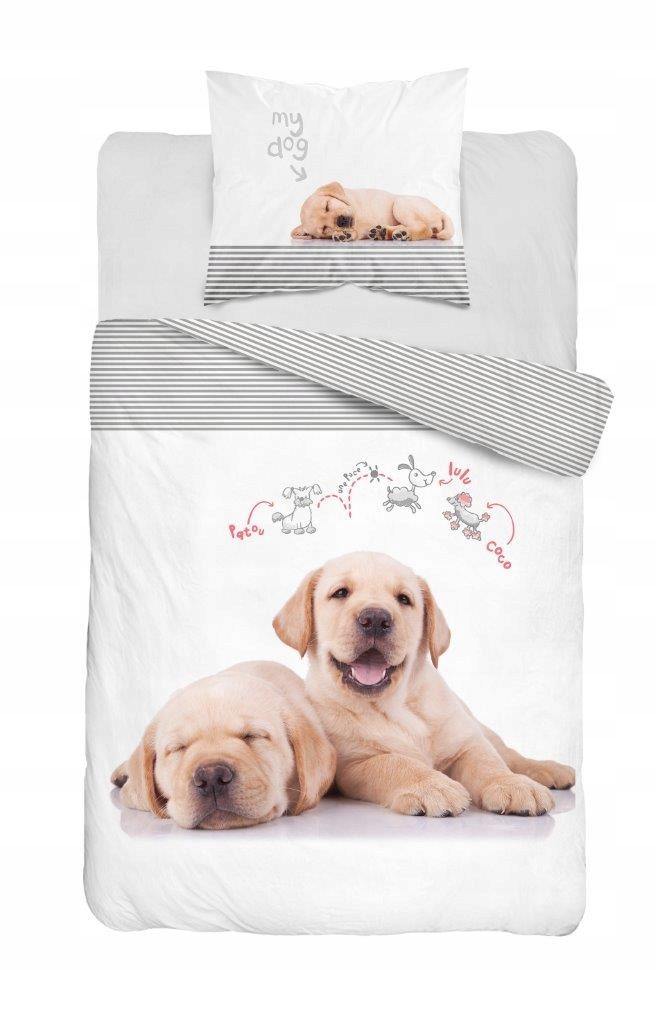 

160X200 Pościel Bawełna Pies Psy Labrador 2275 DD