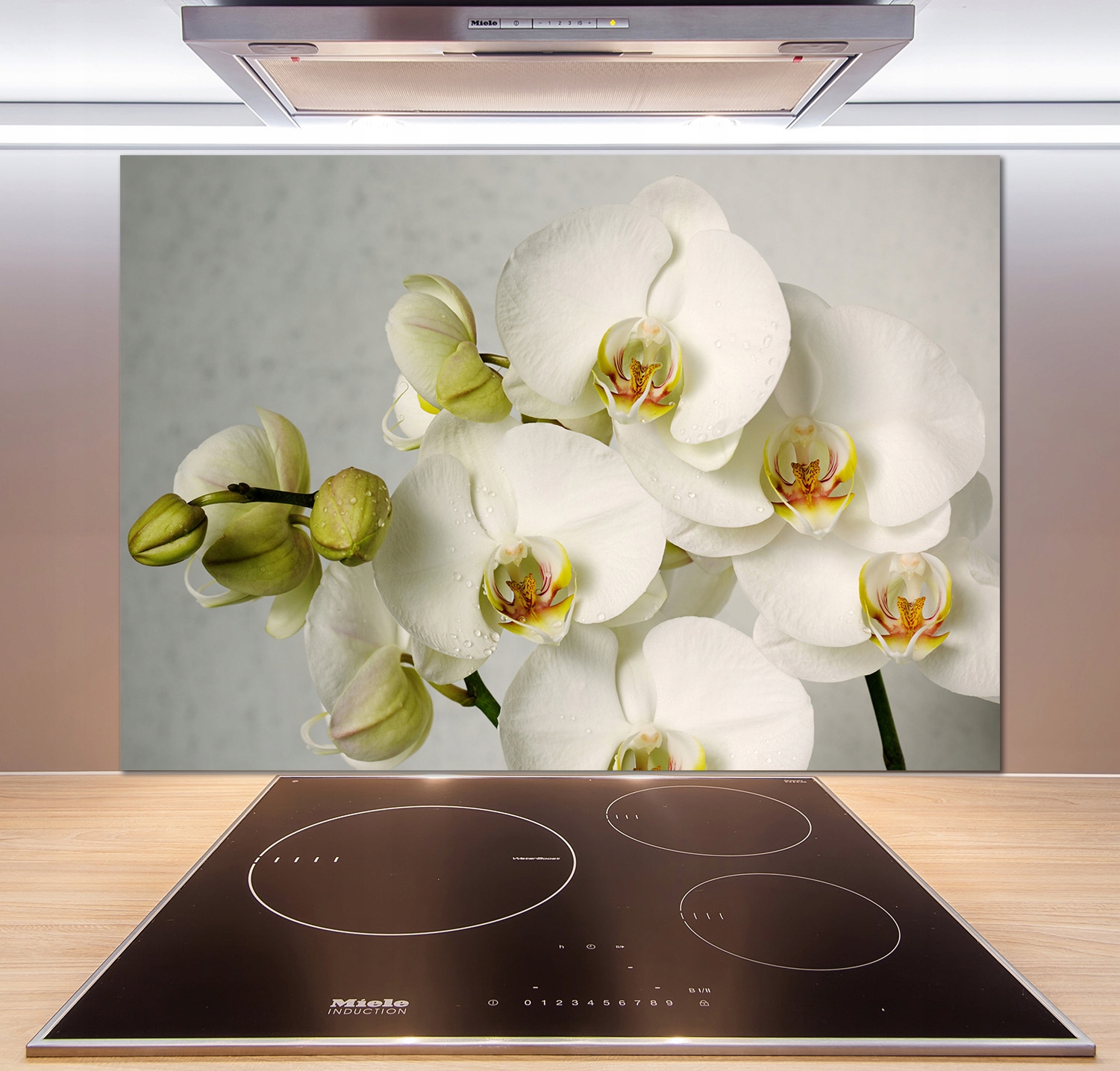 

Panel do kuchni Biała orchidea 100x70 cm + Klej