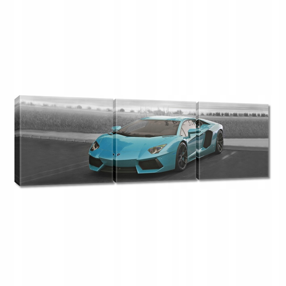 

Obrazy 60x20 Sporotwe auto