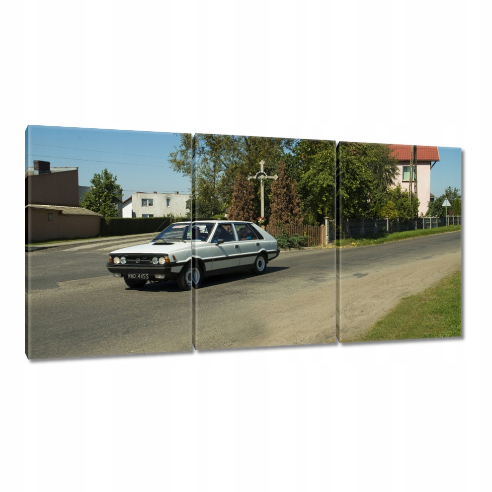 

Obrazy 120x60 Polonez Borewicz Fso