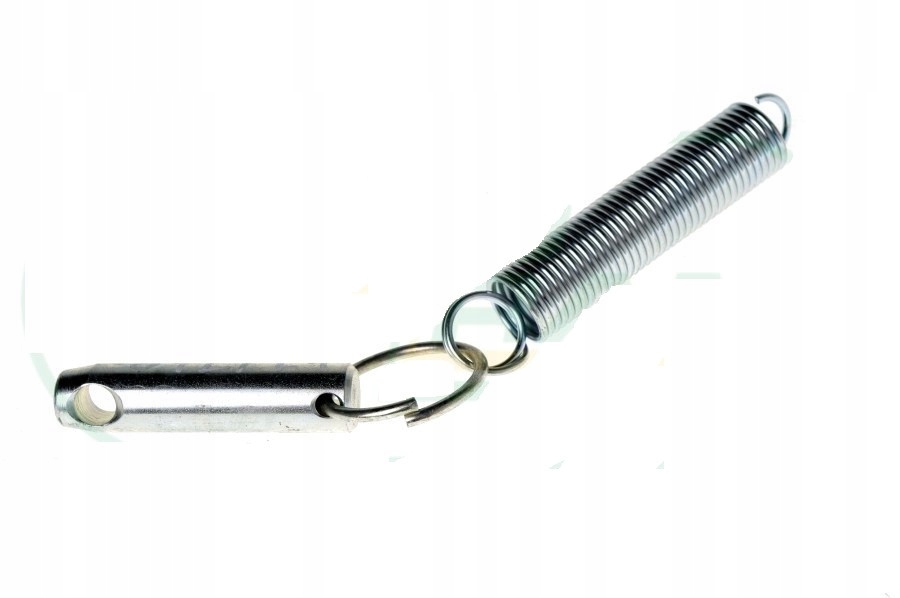 SWORZEŃ CIĘGIEŁ DOLNYCH ZETOR 59115010