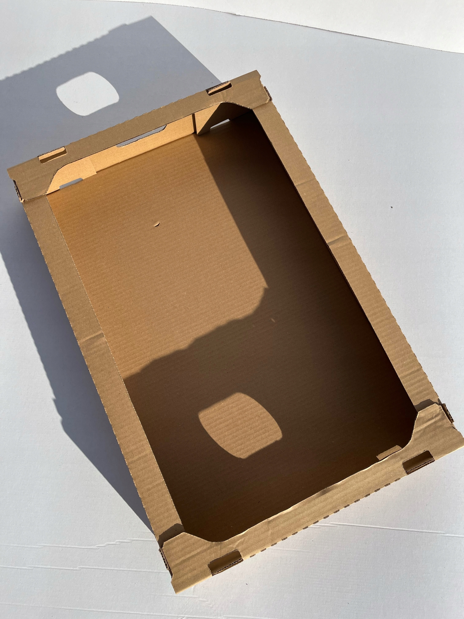 Karton Tacka Cukiernicza Pączkowa Na Pączki Ciasto 600x400x90 50 Szt