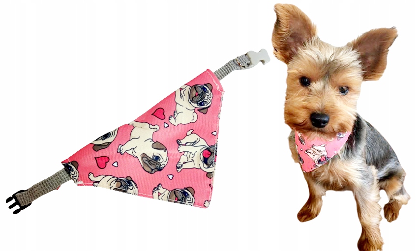 

Obroża z chustką dla psa kota apaszka bandamka Xs