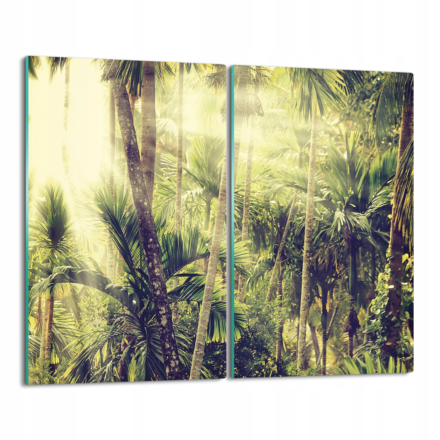 skleněná splashback deska Palmy džungle 2x 30x52