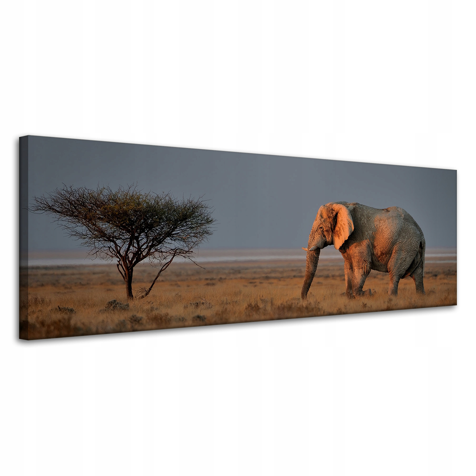 Obraz na plátně Slon Savana Afrika Nebe Tráva 120x40 cm
