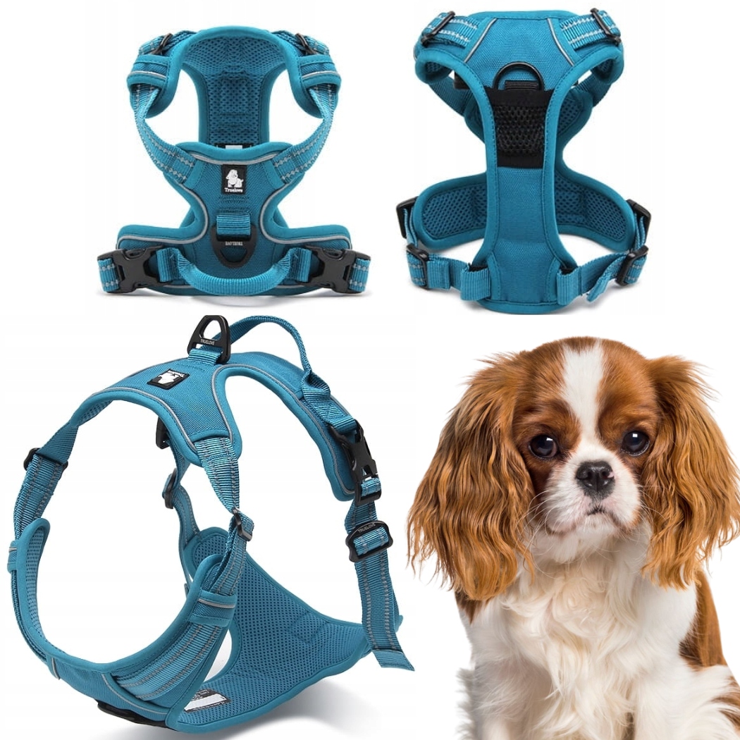 Levně Postroj Pro Psa Truelove Easy Walk Silné Odolné Reflexní Modré S