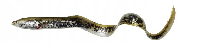 Guma Savage Gear Real Eel 30 cm