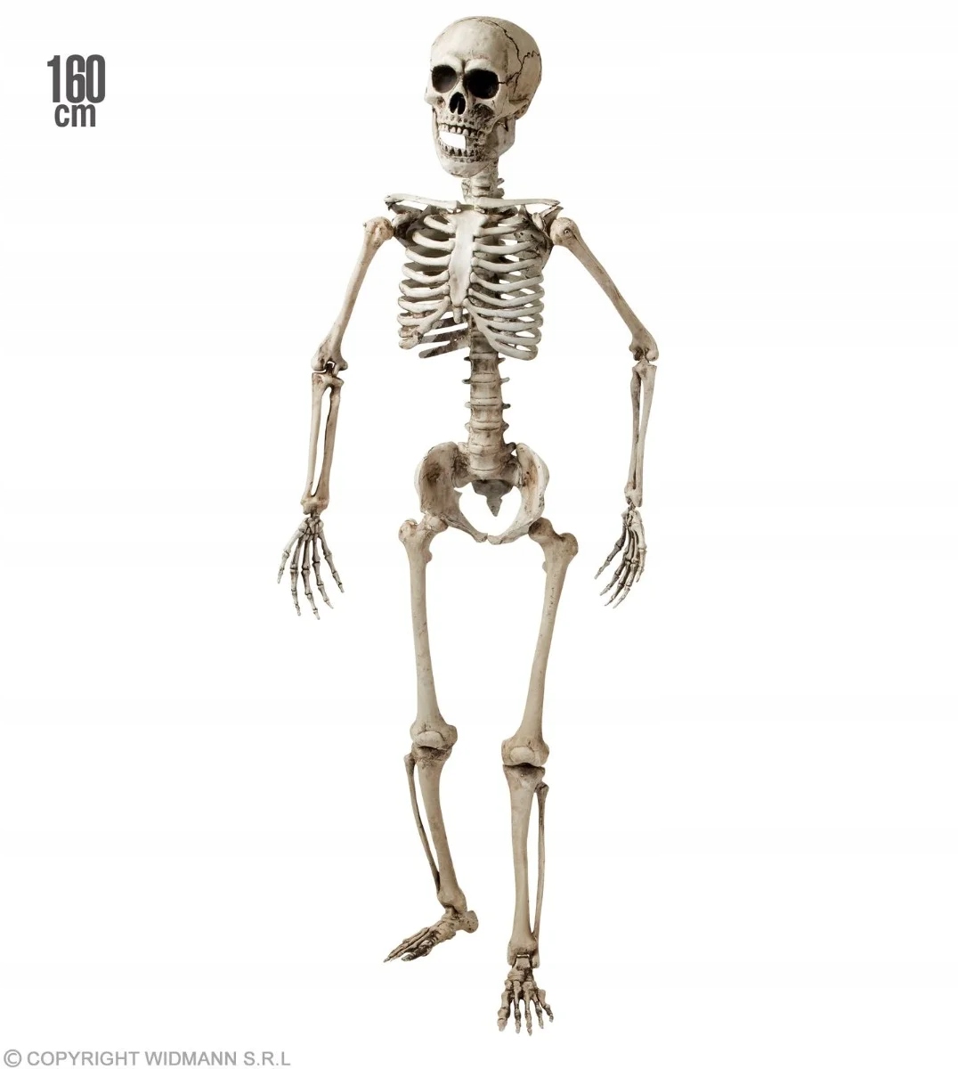 Dekorácia ľudská kostra Kostolov Kostry Halloween