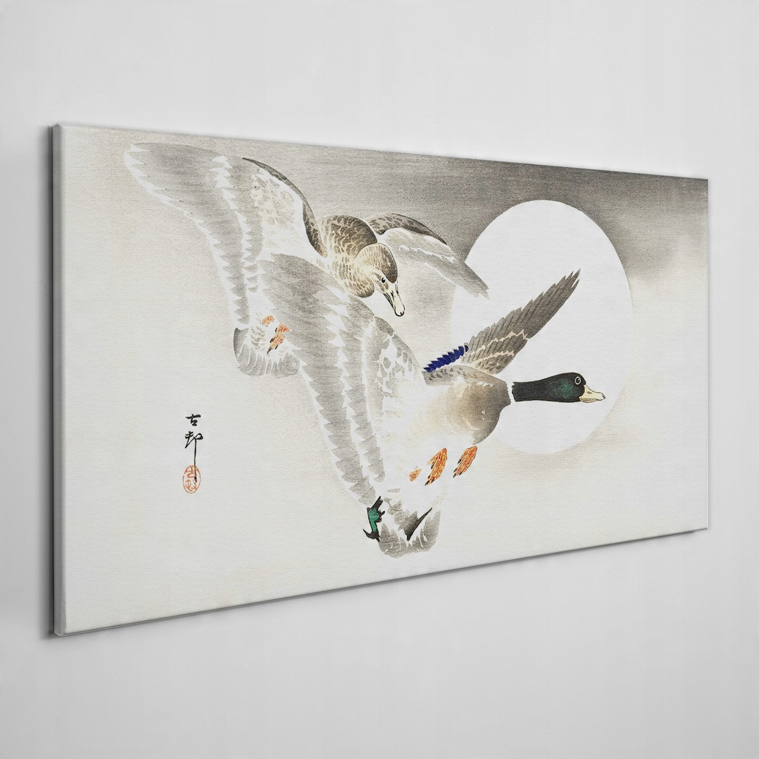 

Obraz na płótnie Zwierzęta ptaki kaczki 100x50 cm