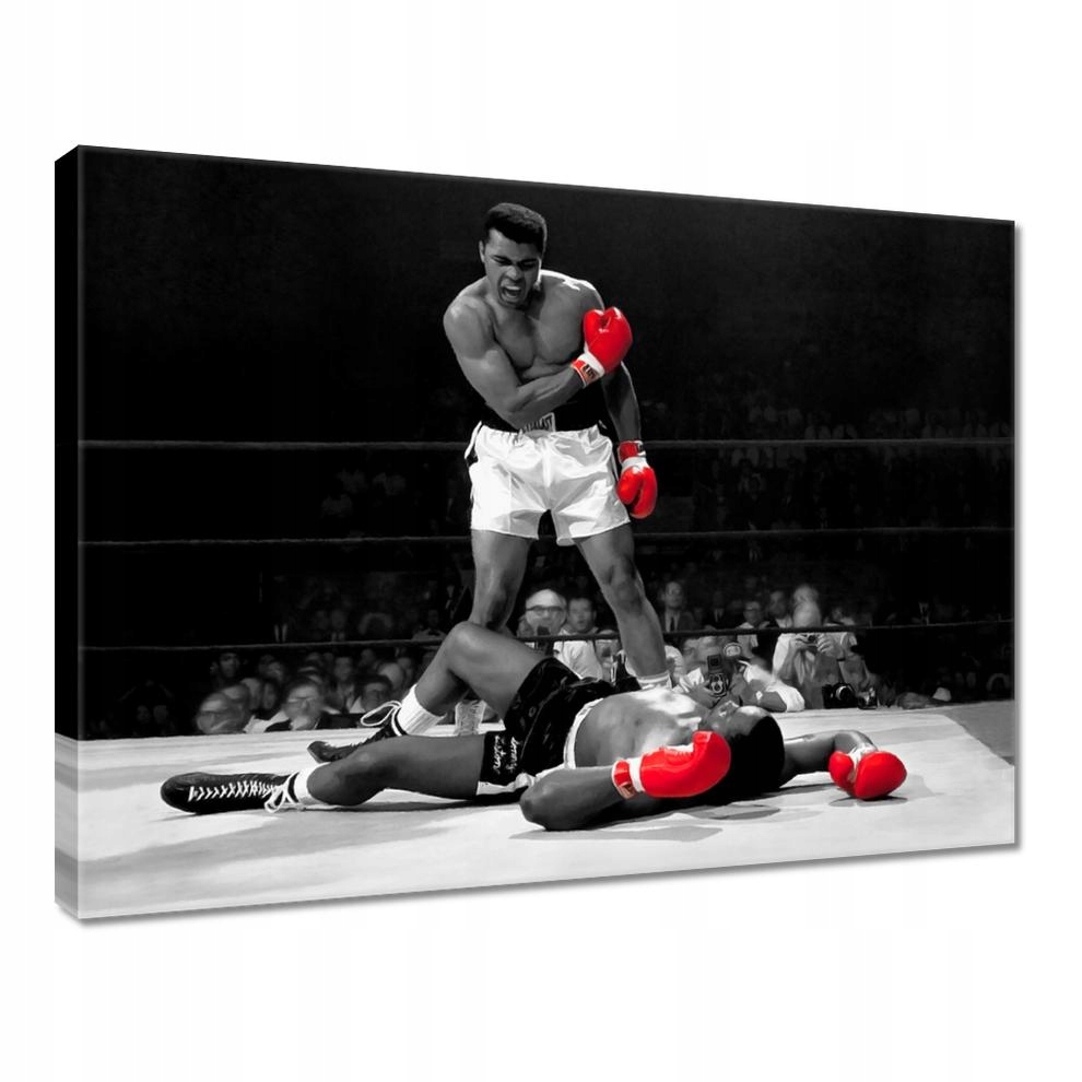 

Obrazy 40x30 Muhhamad Ali Boxer Bokser