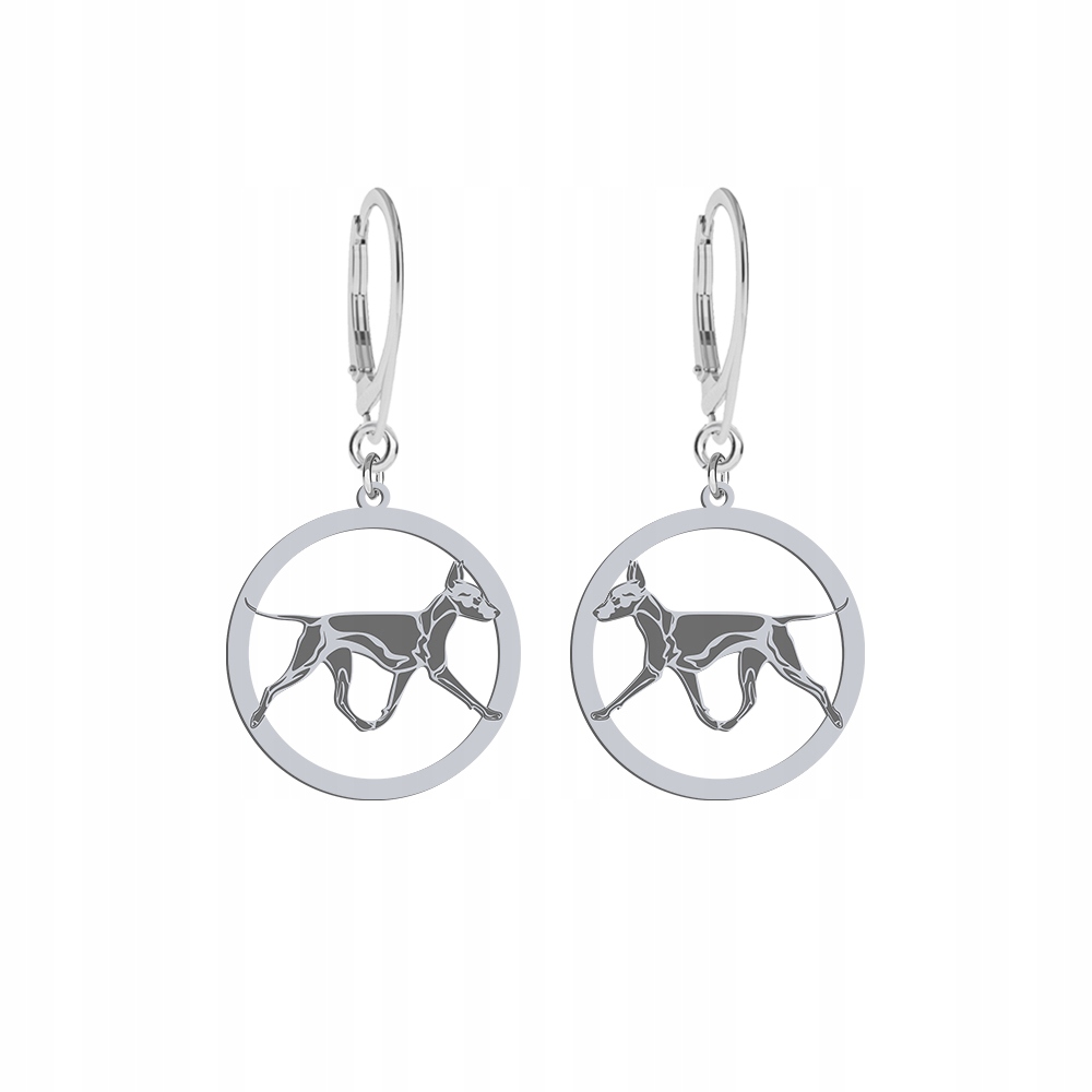 Stříbrné Náušnice se psem Xolo Stříbro 925 Žena Šperky Dárek Gravírování